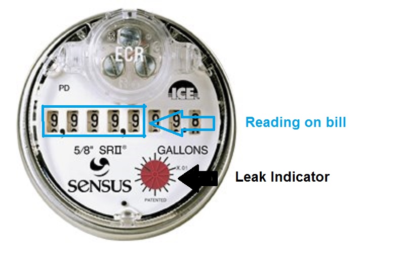 Sensus Meter